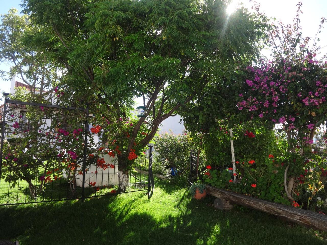 El Jardin De Su Merced B&B Sucre Eksteriør bilde
